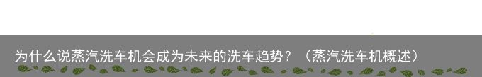 为什么说蒸汽洗车机会成为未来的洗车趋势？（蒸汽洗车机概述）