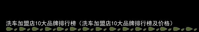 洗车加盟店10大品牌排行榜（洗车加盟店10大品牌排行榜及价格）