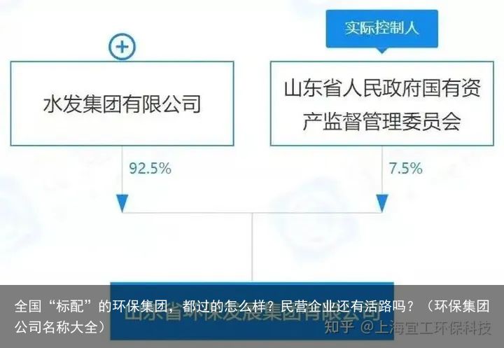 全国“标配”的环保集团，都过的怎么样？民营企业还有活路吗？（环保集团公司名称大全