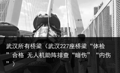 武汉所有桥梁（武汉227座桥梁“体检”合格 无人机助阵排查“暗伤”“内伤”）