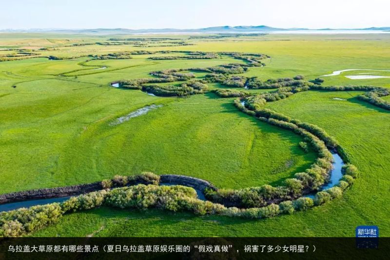 乌拉盖大草原都有哪些景点（夏日乌拉盖草原娱乐圈的“假戏真做”，祸害了多少女明星？）