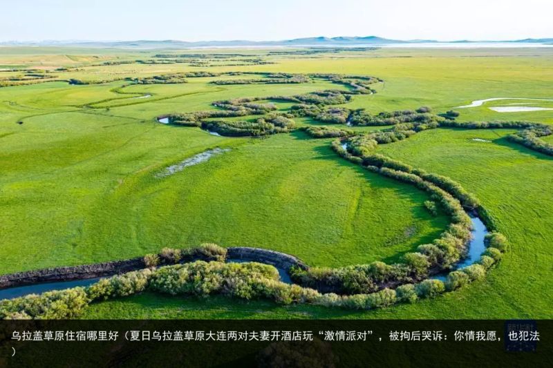 乌拉盖草原住宿哪里好（夏日乌拉盖草原大连两对夫妻开酒店玩“激情派对”，被拘后哭诉：你情我愿，也犯法）