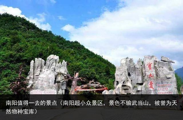 南阳值得一去的景点（南阳超小众景区，景色不输武当山，被誉为天然物种宝库）