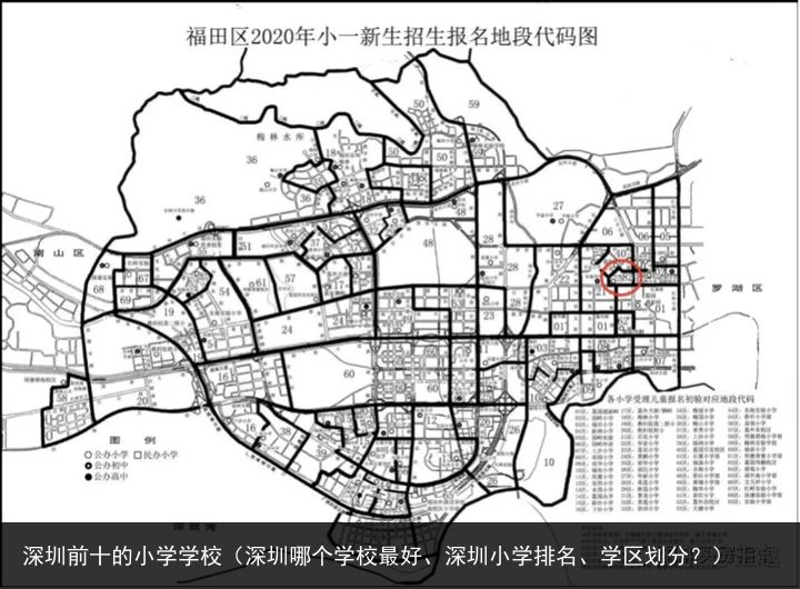 深圳前十的小学学校（深圳哪个学校最好、深圳小学排名、学区划分？）