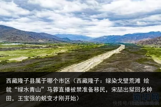 西藏隆子县属于哪个市区（西藏隆子：绿染戈壁荒滩 绘就“绿水青山”马蓉直播被禁准备移民，宋喆出狱回乡种田，王宝强的蜕变才刚开始）