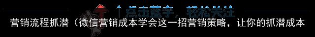 营销流程抓潜（微信营销成本学会这一招营销策略，让你的抓潜成本瞬间消失）