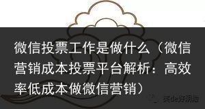 微信投票工作是做什么（微信营销成本投票平台解析：高效率低成本做微信营销）