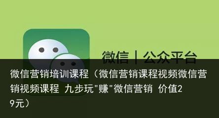 微信营销培训课程（微信营销课程视频微信营销视频课程 九步玩"赚"微信营销 价值29元）