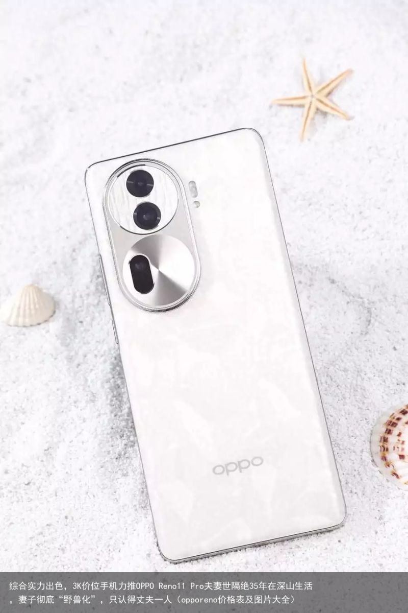 综合实力出色，3K价位手机力推OPPO Reno11 Pro夫妻世隔绝35年在深