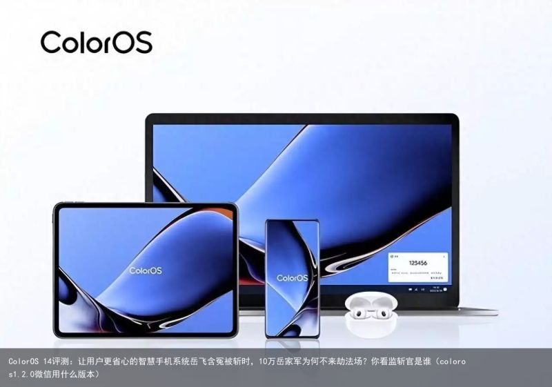 ColorOS 14评测：让用户更省心的智慧手机系统岳飞含冤被斩时，10万岳家军