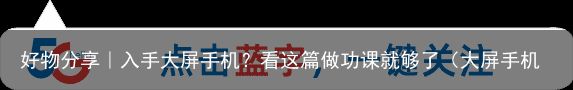 好物分享｜入手大屏手机？看这篇做功课就够了（大屏手机哪个牌子好一点）