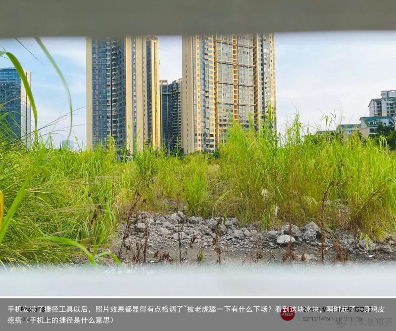 手机安装了捷径工具以后，照片效果都显得有点格调了~被老虎舔一下有什么下场？看到这