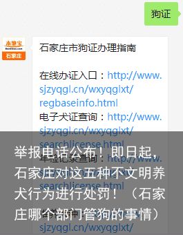 举报电话公布！即日起，石家庄对这五种不文明养犬行为进行处罚！（石家庄哪个部门管狗的事情）