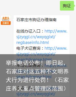 举报电话公布！即日起，石家庄对这五种不文明养犬行为进行处罚！（石家庄养犬重点管理区范围）