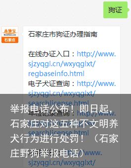 举报电话公布！即日起，石家庄对这五种不文明养犬行为进行处罚！（石家庄野狗举报电话）