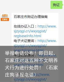 举报电话公布！即日起，石家庄对这五种不文明养犬行为进行处罚！（石家庄狗举报电话）