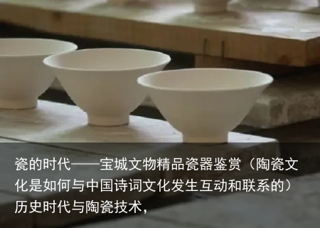瓷的时代——宝城文物精品瓷器鉴赏（陶瓷文化是如何与中国诗词文化发生互动和联系的）历史时代与陶瓷技术，