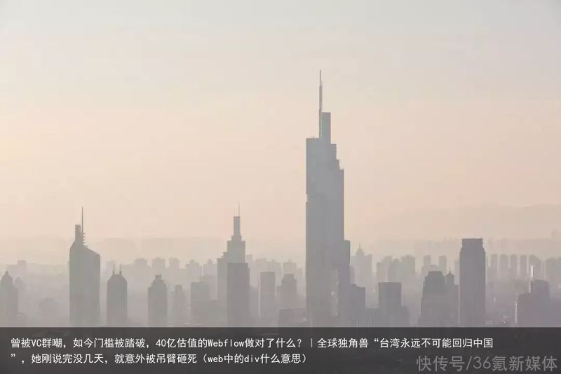 曾被VC群嘲，如今门槛被踏破，40亿估值的Webflow做对了什么？｜全球独角兽“台湾永远不可能回归