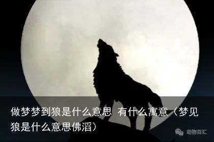 做梦梦到狼是什么意思 有什么寓意（梦见狼是什么意思佛滔）