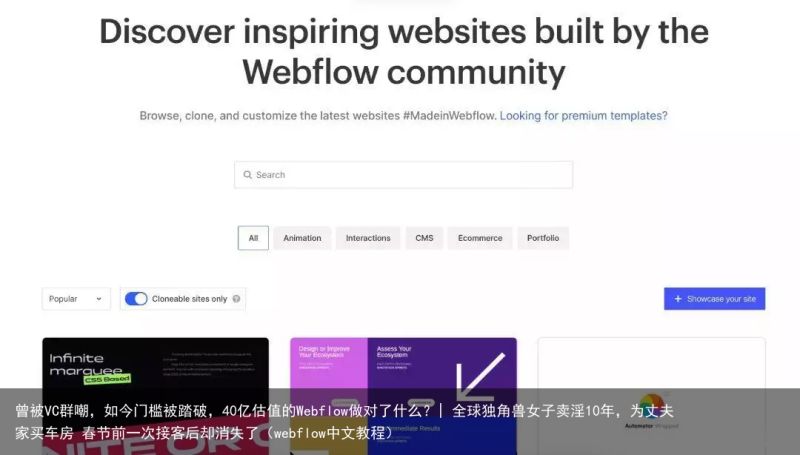 曾被VC群嘲，如今门槛被踏破，40亿估值的Webflow做对了什么？| 全球独角兽女子卖淫10年，为