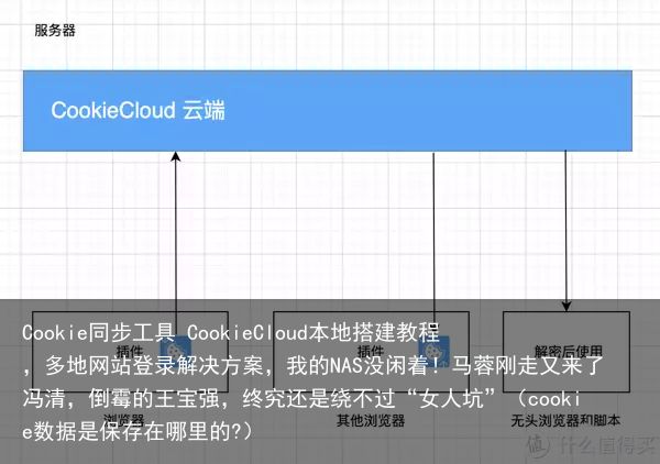 Cookie同步工具 CookieCloud本地搭建教程，多地网站登录解决方案，我的NAS没闲着！马